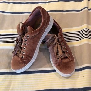 Steve Madden Velvet Sneakers
